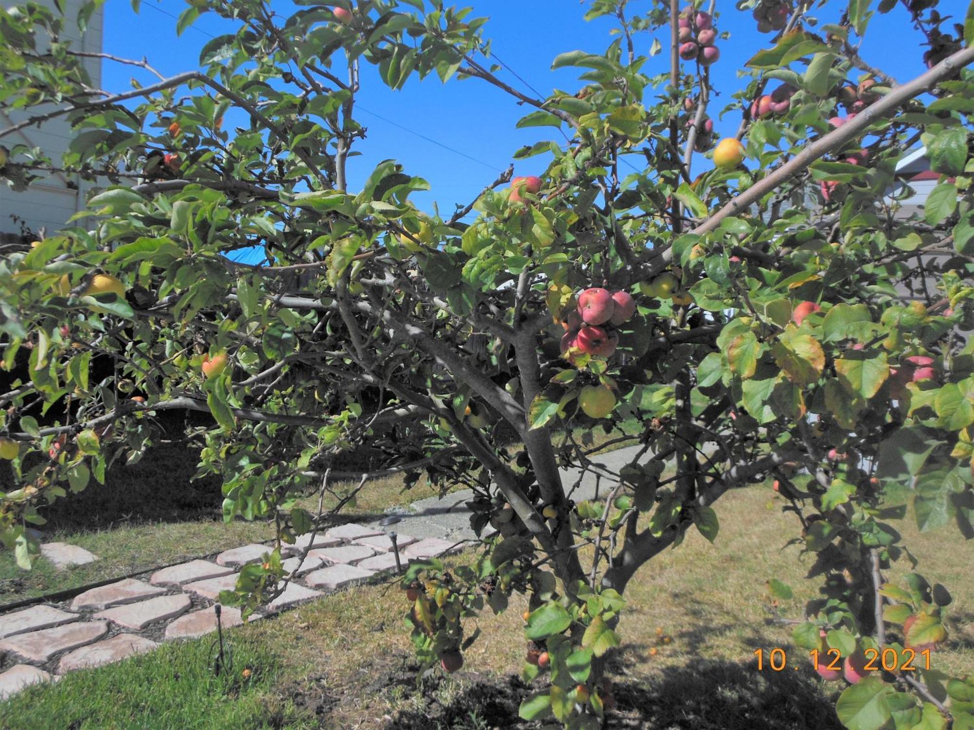 Alameda 2Br 2Ba House, Ac, Near Ferry To San Francisco, 2 Free Parking Spaces 외부 사진